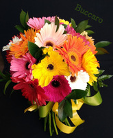Ramo Variado nº 13 - 30€